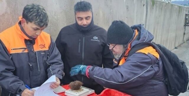 Instituto de Fomento Pesquero (IFOP) realizó taller de capacitación y actividades de difusión del Programa de Seguimiento de Pesquerías Bentónicas en la Región de Magallanes.