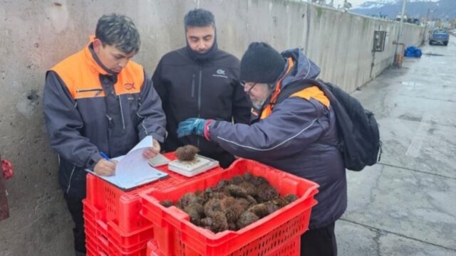 Instituto de Fomento Pesquero (IFOP) realizó taller de capacitación y actividades de difusión del Programa de Seguimiento de Pesquerías Bentónicas en la Región de Magallanes.