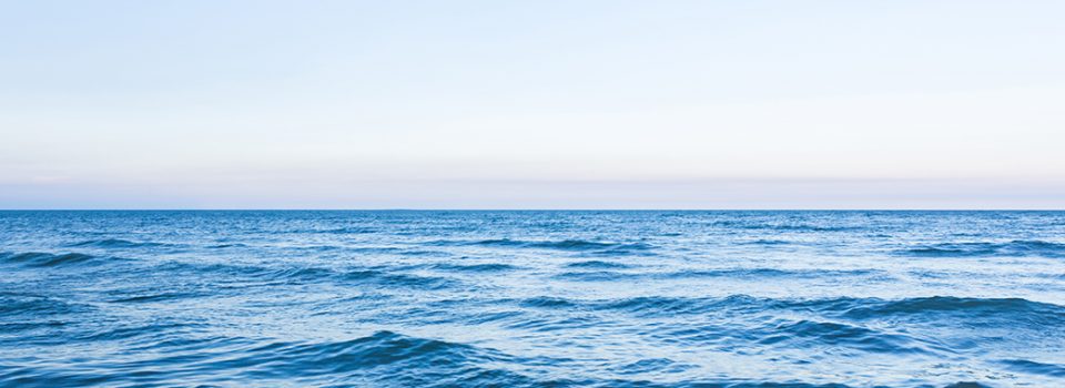 [:es]DESDE EL OCÉANO EXISTE UNA OPORTUNIDAD PARA COMBATIR EL CAMBIO CLIIMÁTICO[:en]FROM THE OCEAN THERE IS AN OPPORTUNITY TO COMBAT CLIMATE CHANGE[:]