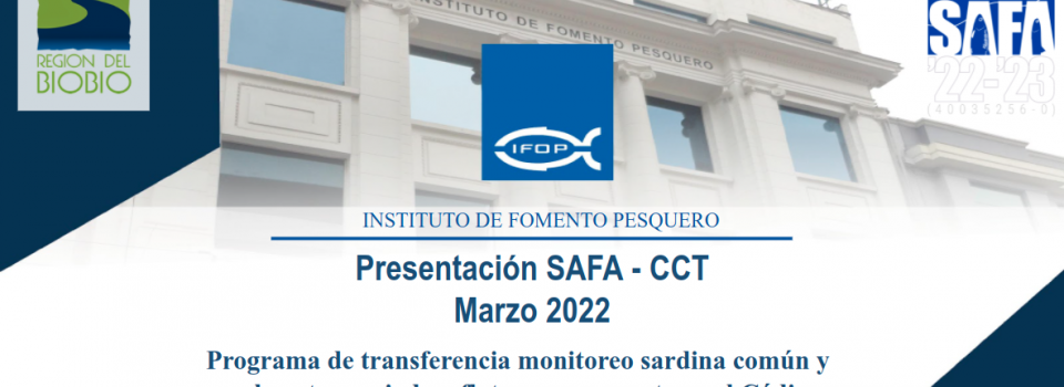 SAFA presenta en el Comité Científico de Pesquerías de Pequeños Pelágicos