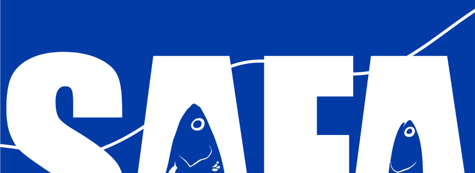 Taller de trabajo del programa “Transferencia Monitoreo Complementario para la investigación de los recursos sardina común y anchoveta asociado a la Flota pesquera artesanal”