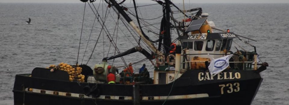 Región del Biobío cuenta con moderno equipo científico para estudiar la sardina y la anchoveta