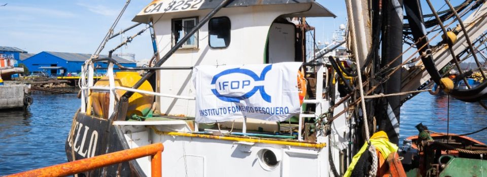 Programa SAFA-IFOP inicia crucero científico hidro-acústico en las costas de la Región del Biobío