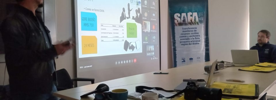 Exitoso Taller de Fin de Monitoreo reproductivo de sardina común y anchoveta y Avance del Programa SAFA: Compromisos y Perspectivas para el Futuro