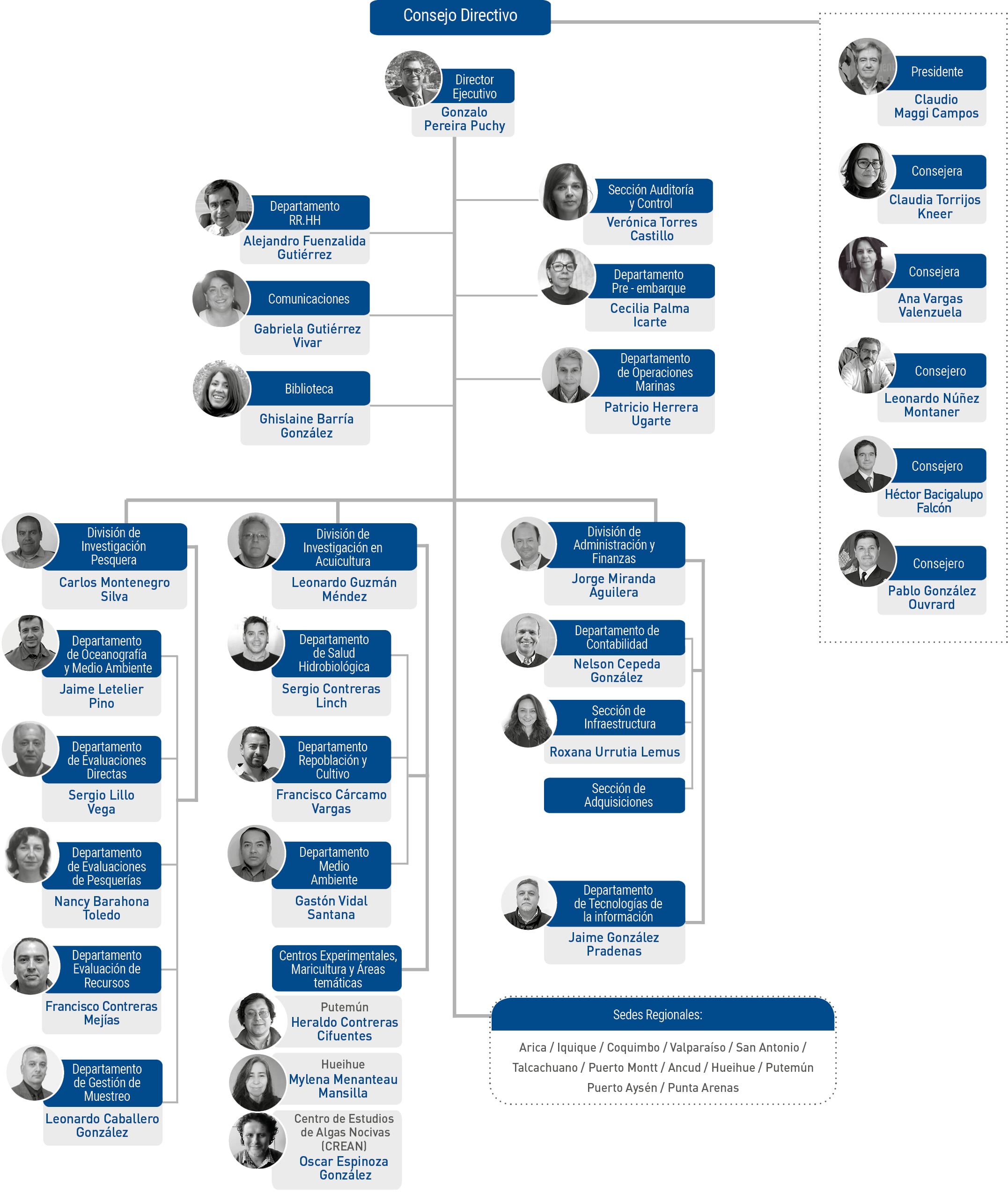 Organigrama IFOP
