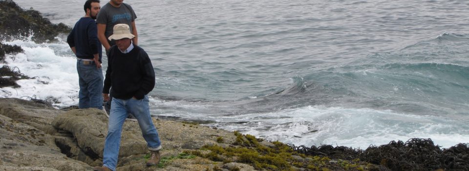 Mareas Negras: Qué son y qué  generan en el océano