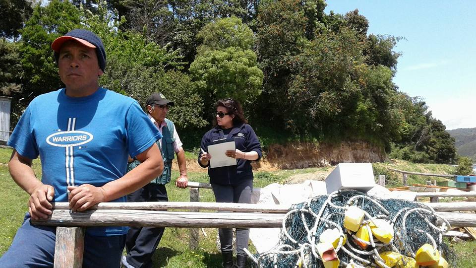 Instituto de Fomento Pesquero se encuentra realizando un levantamiento de información socioeconómica en organizaciones artesanales titulares de áreas de manejo de recursos bentónicos