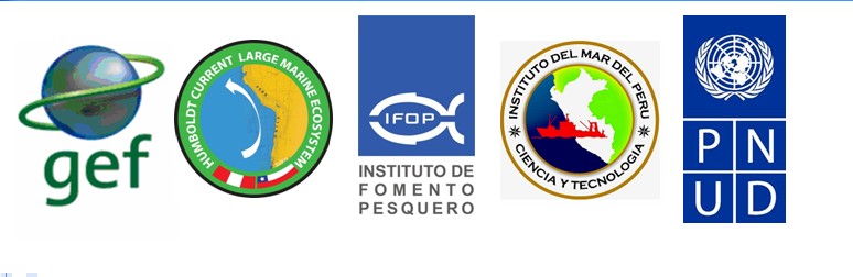 Investigadores de IFOP asisten a curso “Análisis cuantitativo y semi-cuantitativo de redes de interacción ecológica”