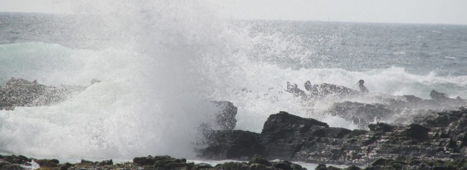 El niño and weather variability (ENVAC) work group met at IFOP to analyze the evolution of this phenomenon