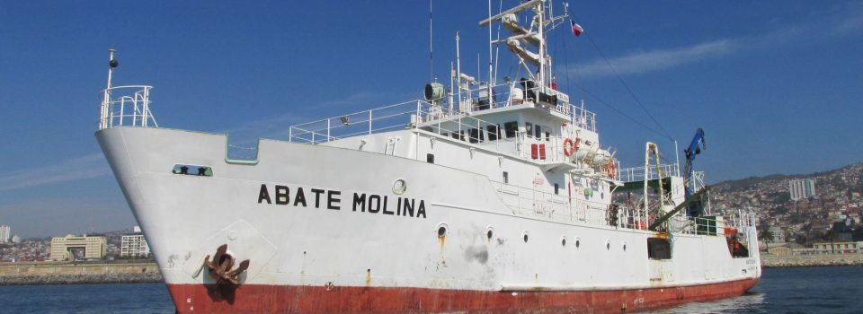 Scientific vessel Abate Molina sailed to study common hake