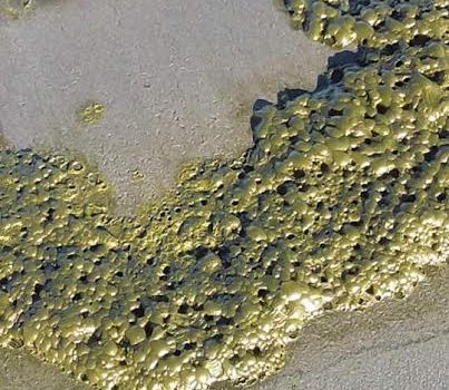 Strange green foam observed at Ancud surroundings is not danger