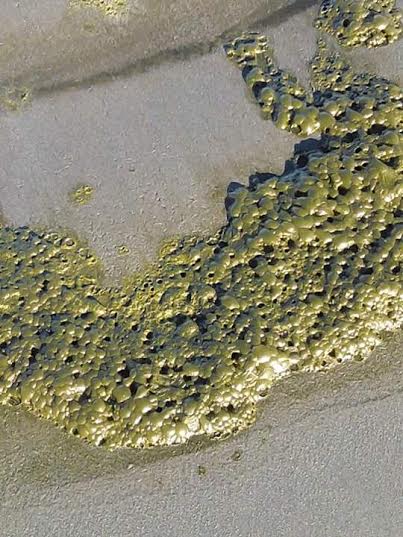 Extraña espuma verde que se observó en cercanías de Ancud no es dañina