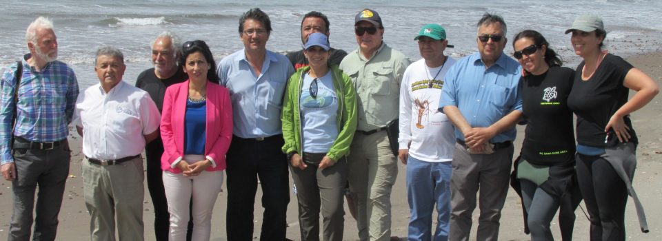 National Group of Sea Turtles met in Arica