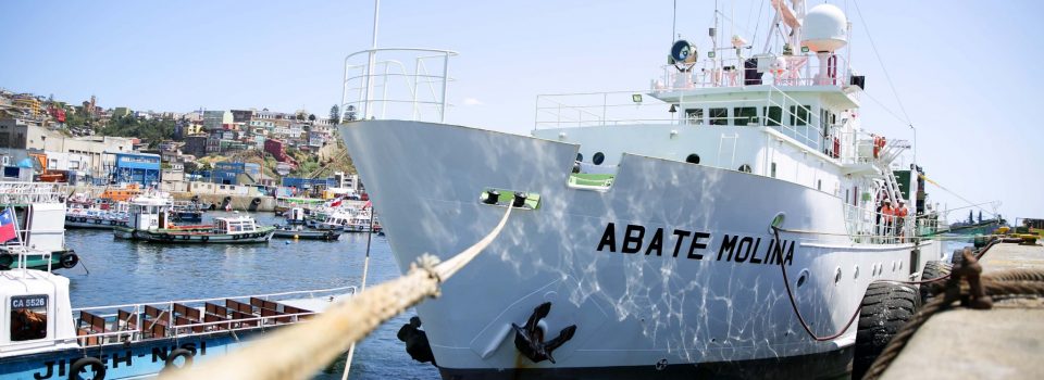 Abate Molina Scientific Vessel  study common hake