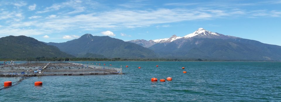 Desarrollo de un modelo para evaluar la capacidad de carga en el mar interior de Chiloé: Avances y Desafíos