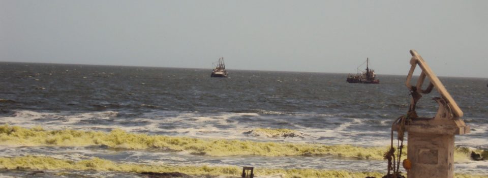 Distinctive discoloration of the sea on the beach in the city of Arica