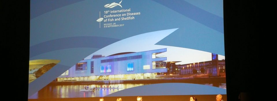 Investigadores Chilenos en 18ª Conferencia Internacional sobre Enfermedades de Peces y Mariscos realizada en Irlanda del Norte