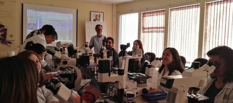 Experto español dicta taller sobre Biología Molecular en Microalgas Nocivas en IFOP