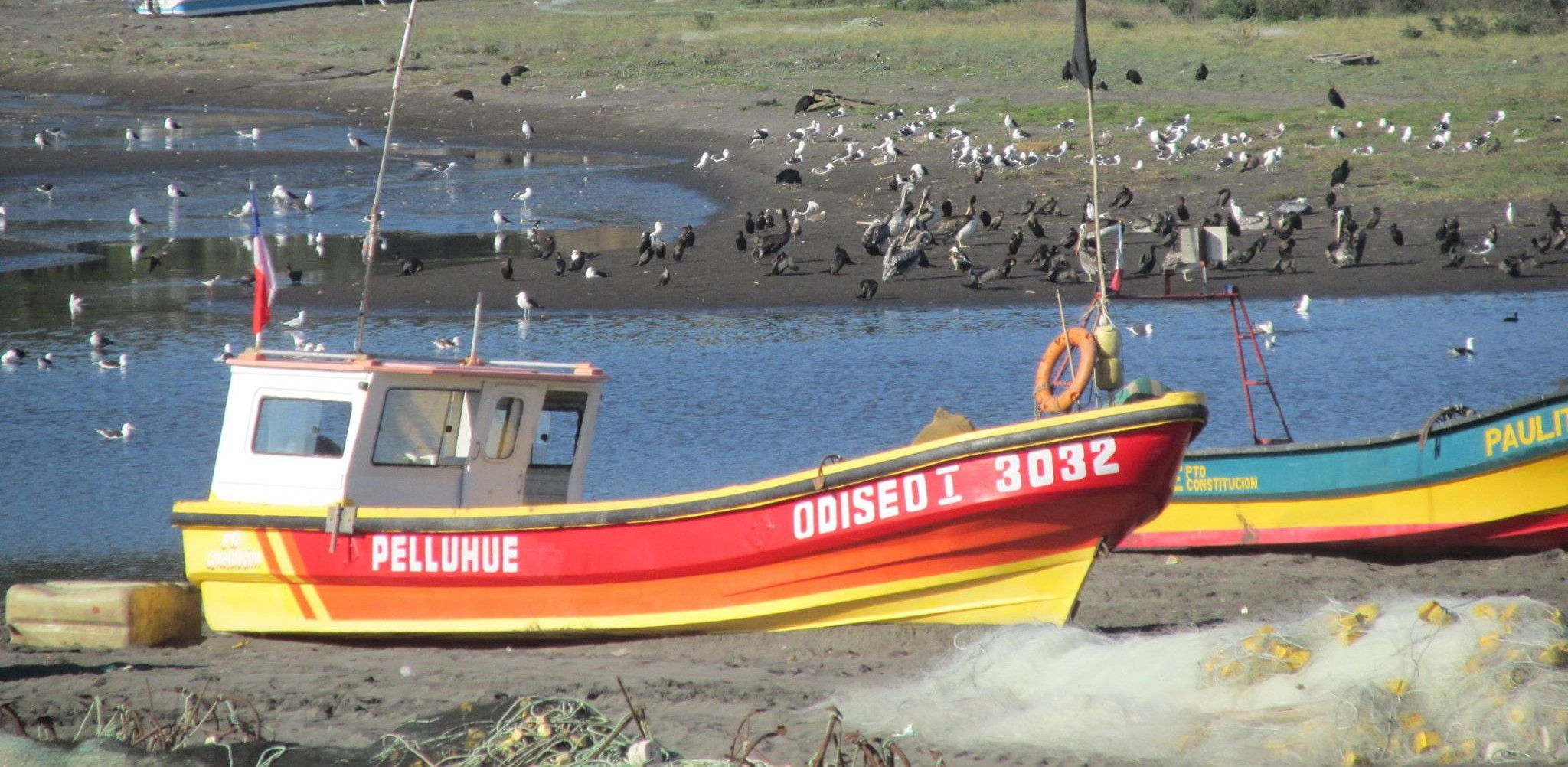 Firman acuerdo para generar sistema de información sobre pesca, acuicultura y cambio climático