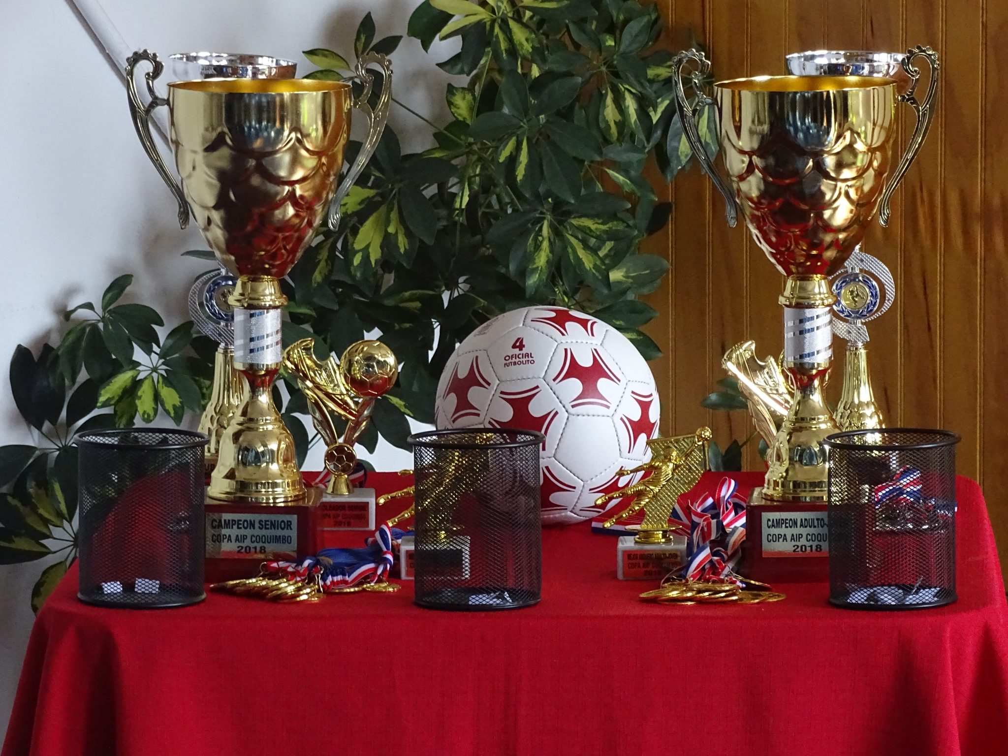 IFOP organizó campeonato de Futbolito en Coquimbo