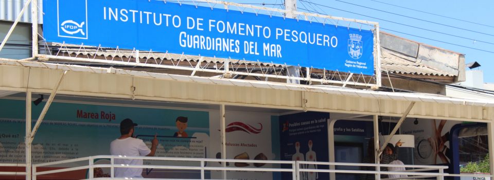 Municipalidad de La Cruz trae maravillosa exposición marina “Guardianes del Mar”, gratuita para todos sus vecinos