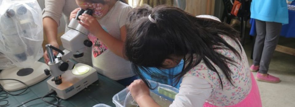 IFOP researchers develop workshops with children from El  Alerce community in Puerto Montt