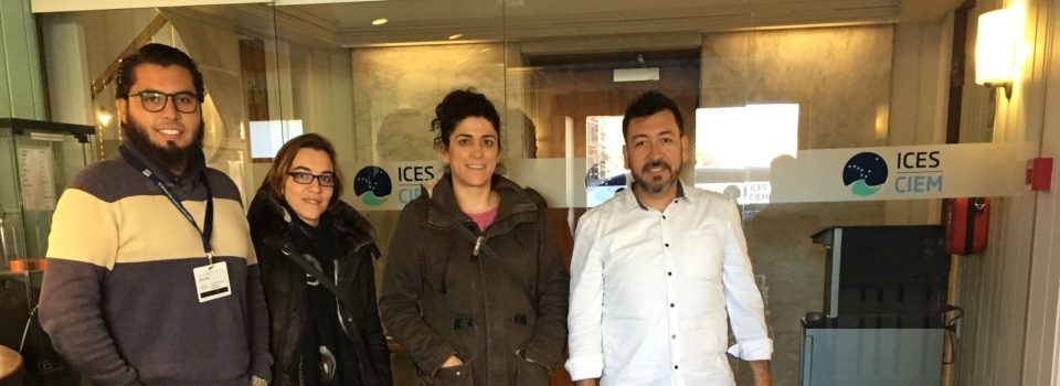 IFOP researchers attend a fisheries bioeconomy course in Denmark