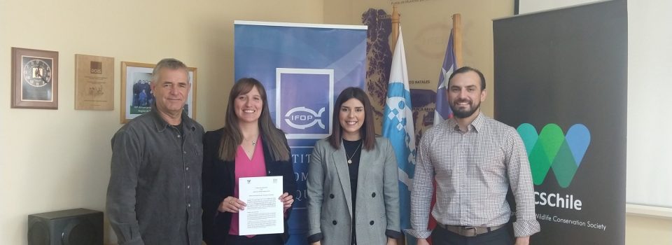 Collaboration agreement is signed by IFOP and WCS Chile