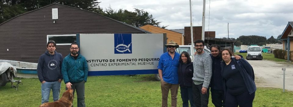 Australian aquaculture repopulation expert visits Chile