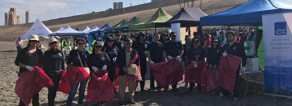 Destacada participación de IFOP Iquique en Limpieza de Playas