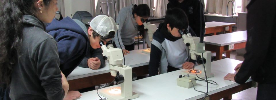 IFOP Talcahuano, participa en V Jornada Científica “Educando para un Desarrollo Sostenible”.