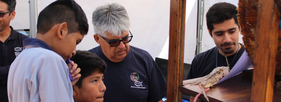 IFOP Arica tuvo una brillante  participación en la semana de la Ciencia organizada por Explora.