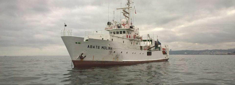 Scientific vessel analyze anchovy stock and common sardine between Valparaíso and Los Lagos regions.