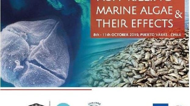 IFOP organiza Coloquio Internacional Avanzado “Estatus de la mortalidad de peces por FAN y sus impactos en un ambiente cambiante”