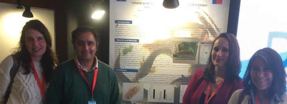 Investigadoras de IFOP presentan resultados de sus trabajos sobre el piojo del salmón en el 1er Congreso chileno de Caligidosis.