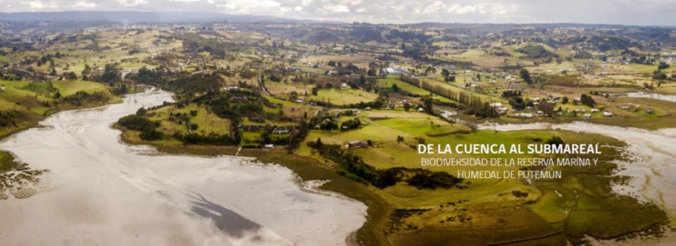 IFOP y CECPAN desarrollan libro “De la Cuenca al Submareal. Biodiversidad de la Reserva Marina y Humedal de Putemún”.