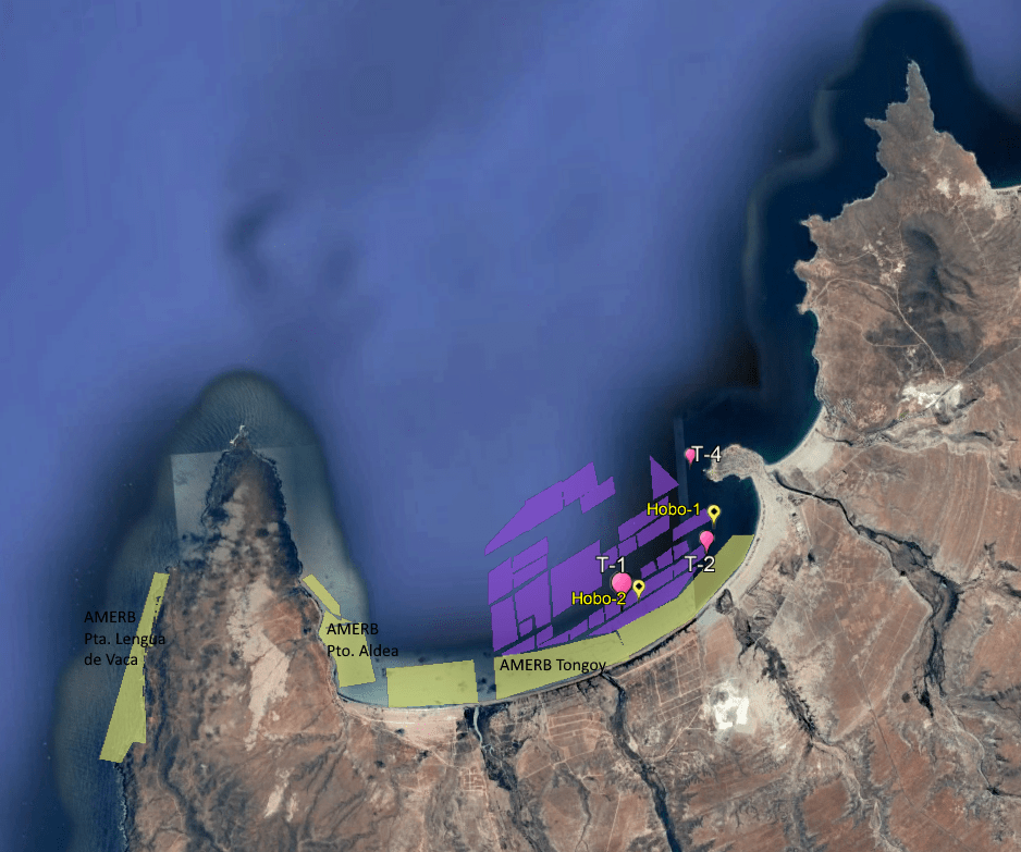 Location of sampling stations