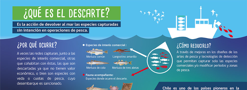 Investigador Marcelo San Martín participa  en charla virtual sobre pesquerías sostenibles y descarte cero