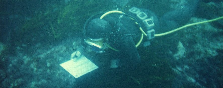 Proyecto IFOP “Programa de Seguimiento Pesquerías Bajo Régimen de Áreas de Manejo, 2019” realizó taller de difusión