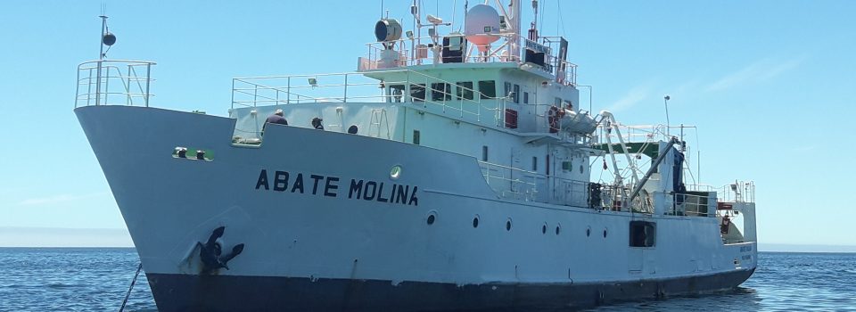 Buque Científico Abate Molina de IFOP, suspendió su crucero de merluza común por problemas hidráulicos en uno de sus winches, y regresó a Valparaíso