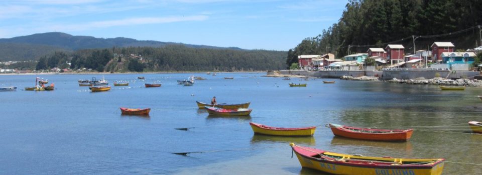 Participate in the Project Seminar: “Strengthening Chilean Fishing and Aquaculture Sector to Climate Change Adaptation Capacity “