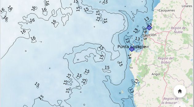 Dr. Jaime Letelier IFOP participa en seminario “Anomalías Oceanográficas y Varamientos Pelágicos en Biobío”