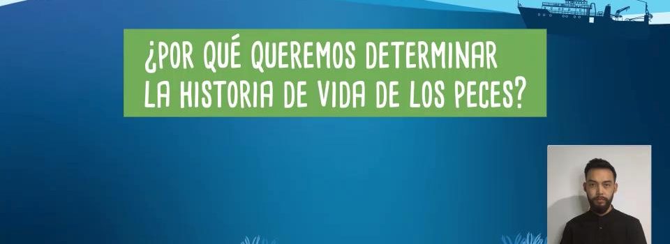 IFOP y Explora Valparaíso estrenan breves cápsulas para difundir la investigación científica marina