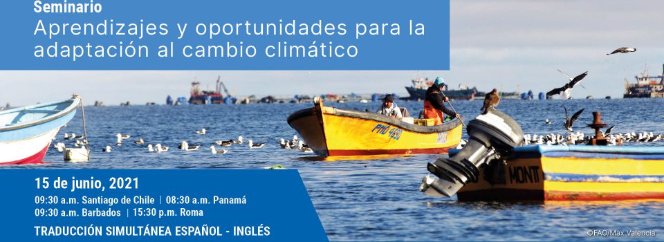 Seminario virtual analizará la adaptación al cambio climático en el sector pesquero y acuícola chileno