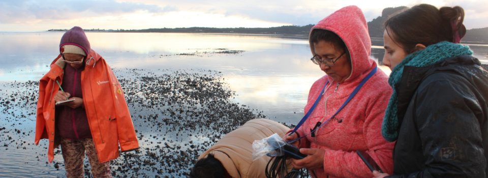 Publican manual para un sistema de monitoreo ambiental participativo en comunidades costeras