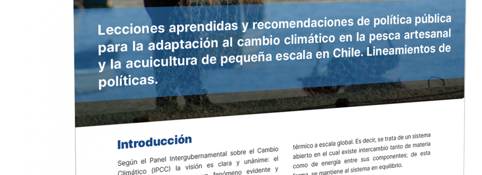 Lessons learned and public policies for adaptation to climate change in artisanal fishing