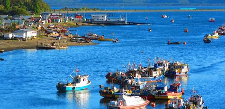 IFOP jointly with Data Observatory will create a data platform for fishery resources in the north of Chile