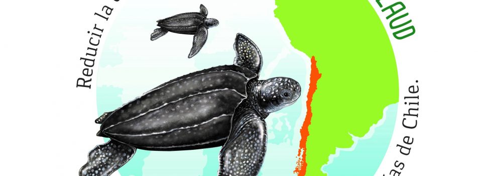 Chile and Costa Rica join efforts for  sea turtles conservation.