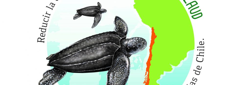 Chile y Costa Rica unidos por la conservación de las tortugas marinas