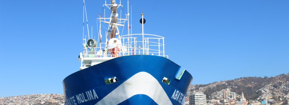 Abate Molina ship set sail for anchovy research between Atacama and Coquimbo regions